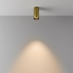 Lampa sufitowa FOCUS LED C056CL-L12W3K-W-BS Maytoni - zdjęcie dodatkowe 2