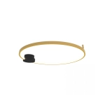 23096 CEILING LED LIGHT 24W 3000K ALUMINIUM-SILICON,BLACK-GOLD RING INDOOR DECORATIVE LIGTHS Zambelis Lights