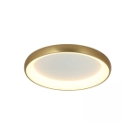 2058 CEILING LIGHT 55W 3000K ALUMINIUM & ACRYLIC BRUSHED GOLD MATT Zambelis Lights