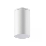 E220 OUTDOOR CEILING LIGHT 1XGU10 WHITE IP54 Zambelis Lights