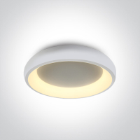 The LED Decorative Plafon 62134N/W/W ONE LIGHT