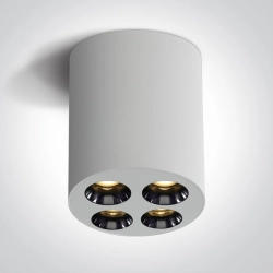The Dark Light Ceiling Lights 12110H/W/W ONE LIGHT