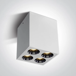 The Dark Light Ceiling Lights 12110HB/W/W ONE LIGHT