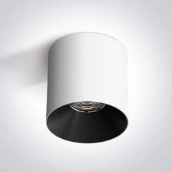 WHITE 25W WW IP20 230V 12125R/W/W ONE LIGHT