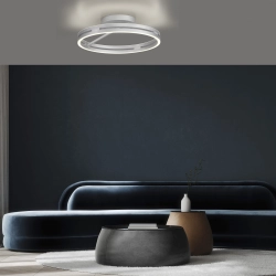 Lampa sufitowa Pure Loop Aluminium 6552-95 Paul Neuhaus - zdjęcie dodatkowe 1