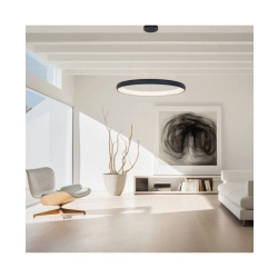 2060 PENDANT LIGHT 60W 3000K ALUMINUM & ACRYLIC SANDY BLACK FOR INDOOR SPACES Zambelis Lights