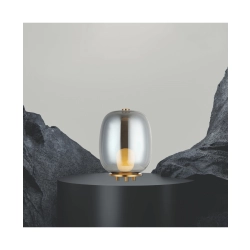 22066 TABLE LAMP 1XG9 SMOKED GLASS - GOLD MAT METAL FOR INTERIOR SPACES Zambelis Lights