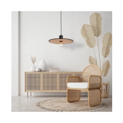 22173 PENDANT LAMP BUSH-BLACK 1XE27 Zambelis Lights