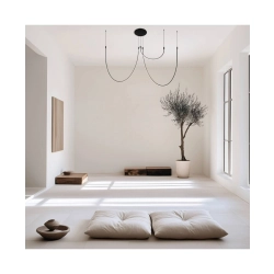 23051 CEILING LED LIGHT 46W 3000K ALUMINIUM-SILICON BLACK
