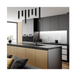 23221 CEILING SPOT 1XGU10 ALUMINIUM BLACK Zambelis Lights