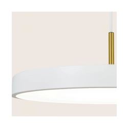 25146 PENDANT LED LIGHT 17W 3000K WHITE MATT - BRUSHED BRASS Zambelis Lights