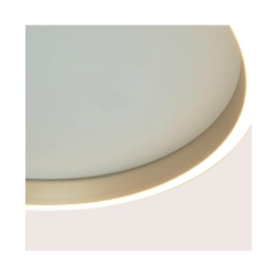 25164 CEILING LED LIGHT 41W 2700K-3000K-4000K BRUSHED GOLD Zambelis Lights