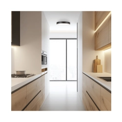 25377 CEILING LED LIGHT 28W 3000K BLACK MATT - ALUMINIUM - ACRYLIC Zambelis Lights