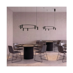 2635 PENDANT LED LIGHT 29W 3000K SANDY BLACK MOVABLE SPOTS Zambelis Lights