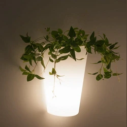 Lampa zewnętrzna ścienna Mantra Teja 6508MA - zdjęcie produktu