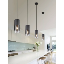 kinkiecik.pl Lampa wisząca ROBIN – 310600132 excl. 1x E27 · max. 28W TRIO