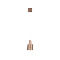 AGUDO – 319400165 excl. 1x E27 · max. 10W TRIO