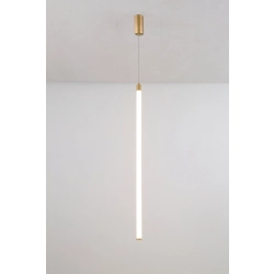 Lampa wisząca Ray P022PL-L20G3K Maytoni - zdjęcie dodatkowe 1