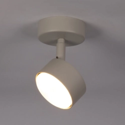 NEMO 1 S plafon szary 40886 Sigma