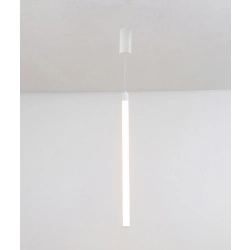 Lampa wisząca Ray P022PL-L10W Maytoni - zdjęcie dodatkowe 1
