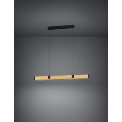 CAMINARRO Lampa wisząca 390225 EGLO