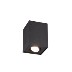 kinkiecik.pl Plafon BISCUIT – 613000132 excl. 1x GU10 · max. 35W TRIO