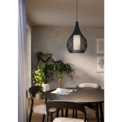 RAZONI 1 Lampa wisząca 900828 EGLO