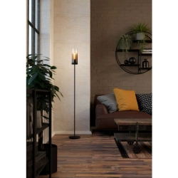TOOTHILL Lampa podłogowa 44004 EGLO