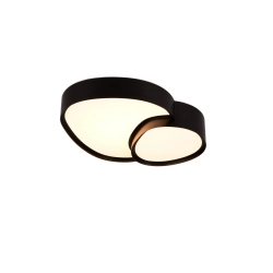 RISE – 647510232 incl. 1x SMD, 21W · 1x 2400lm, 2700 - 6500K TRIO