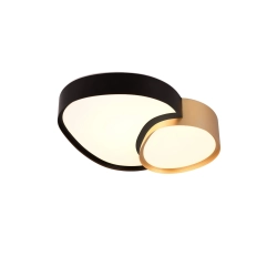 RISE – 647510280 incl. 1x SMD, 21W · 1x 2400lm, 2700 - 6500K TRIO