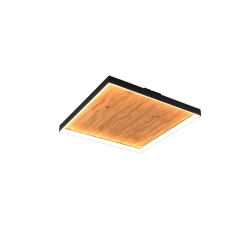 KALEA – 655510130 incl. 1x SMD, 41W · 1x 4800lm, 3000K TRIO