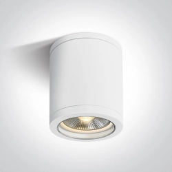 PAR30 Outdoor Cylinders 67142C/W ONE LIGHT