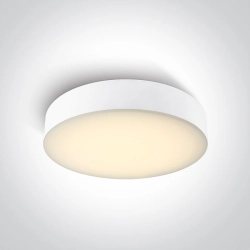 WHITE PLAFON 20W CCTV IP65 230V 67498/W/V 32cm ONE LIGHT