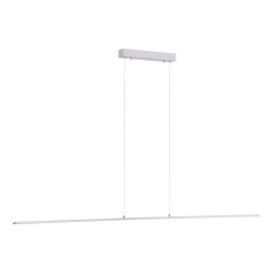 Lampa wisząca Pure Lite Srebrny 8377-55 Paul Neuhaus - zdjęcie produktu