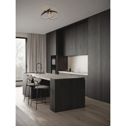 Lampa sufitowa ALAGON LE45713 LUCES EXCLUSIVAS - zdjęcie produktu