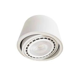 Plafon Natynkowy Plaza White 1xGU10 AR111 - zdjęcie produktu