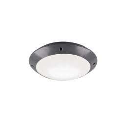 kinkiecik.pl Plafon CAMARO – R60501042 excl. 1x E27 · max. 12W IP54 TRIO