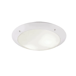 kinkiecik.pl Plafon CAMARO – R60502031 excl. 2x E27 · max. 12W IP54 TRIO