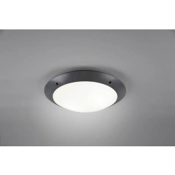 kinkiecik.pl Plafon CAMARO – R60502042 excl. 2x E27 · max. 12W IP54 TRIO