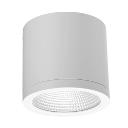 Plafon CONYON AZ6030 IP54 25W CCT SWITCH 3000-6000K IP54 biały AZZARDO