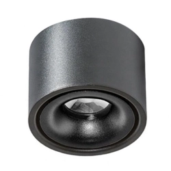 Lampa sufitowa COSTA 12W CCT SWITCH AZ6033 AZZARDO