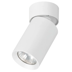 Lampa reflektor sufitowy FLEX BIAŁY 1xGU10 6cm 59026 ALFA