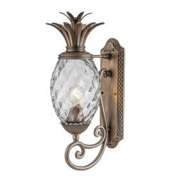 Średnia latarnia naścienna Plantation – 1 źródło światła – Oksydowany brąz HK-PLANTATION-M-BU Elstead Lighting
