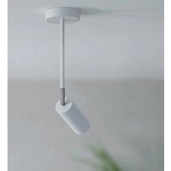 kinkiecik.pl TORINO Lampa sufitowa 108477 Markslojd