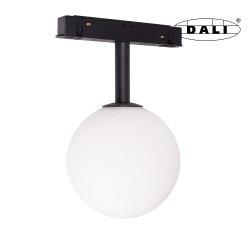 Magnetic M0016D Lampa Magnetyczna System Dali 6W 525LM 3000K Maxlight - zdjęcie produktu