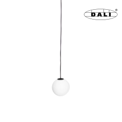 Magnetic M0017D Lampa Wisząca Magnetyczna System Dali 6W 525LM 3000K Maxlight - zdjęcie produktu