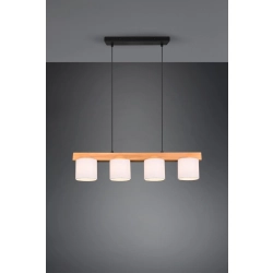kinkiecik.pl Lampa wisząca CAMERON R30654001 TRIO