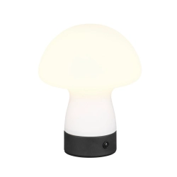 DOOLEY – R54981131 incl. 1x SMD, 1,5W · 1x 140lm, 3000K TRIO