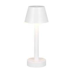 VIDAL – R54991131 incl. 1x SMD, 1,5W · 1x 150lm, 3000K TRIO