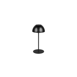 ORTIZ – R55601132 incl. 1x SMD, 2W · 1x 150lm, 3000K TRIO